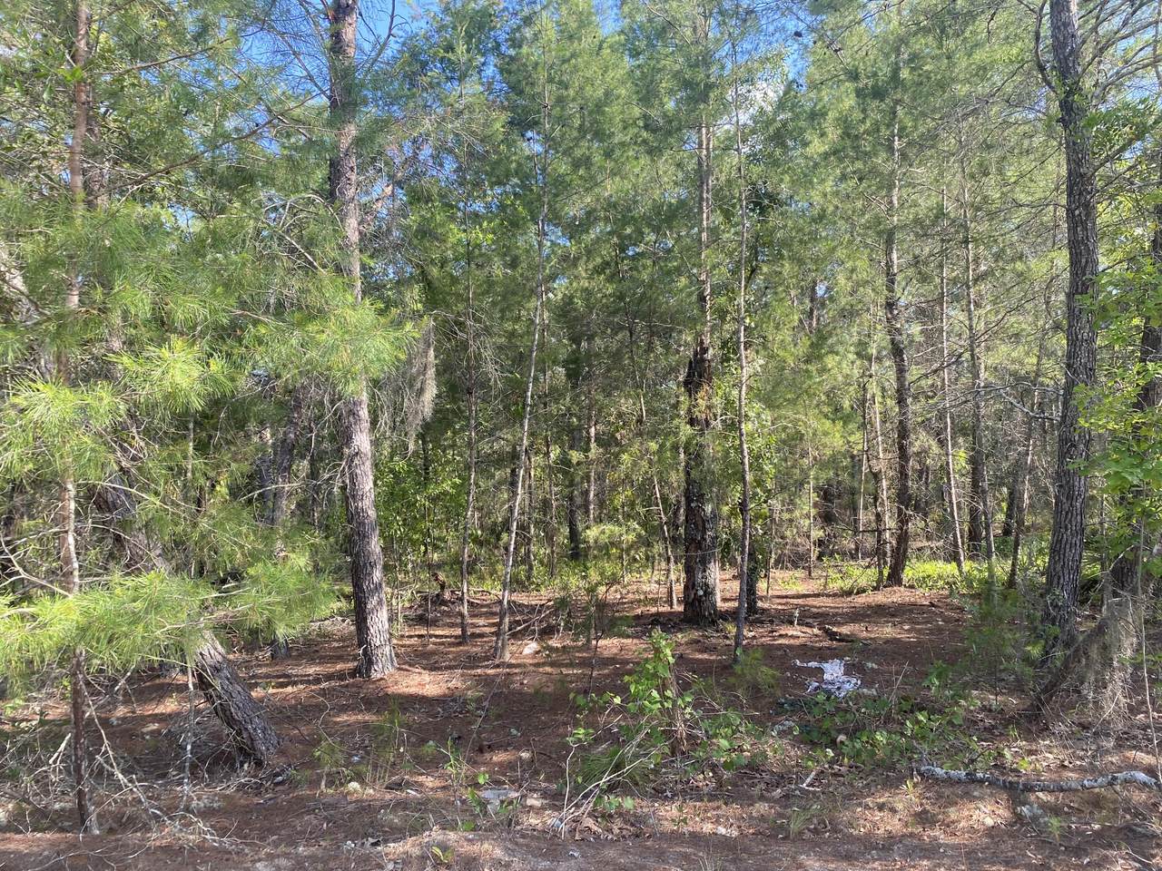423 Flagler Drive - Photo 1