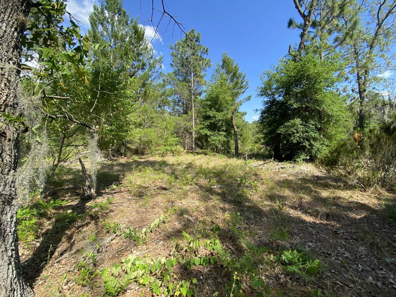 Tbd Beau Avenue - Photo 1