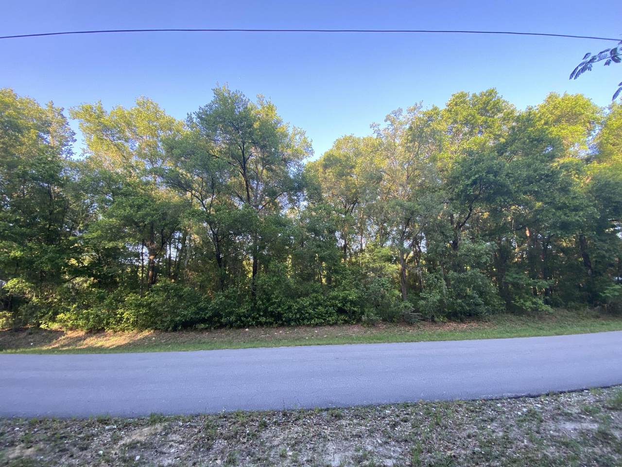 503 Rooks Avenue - Photo 1