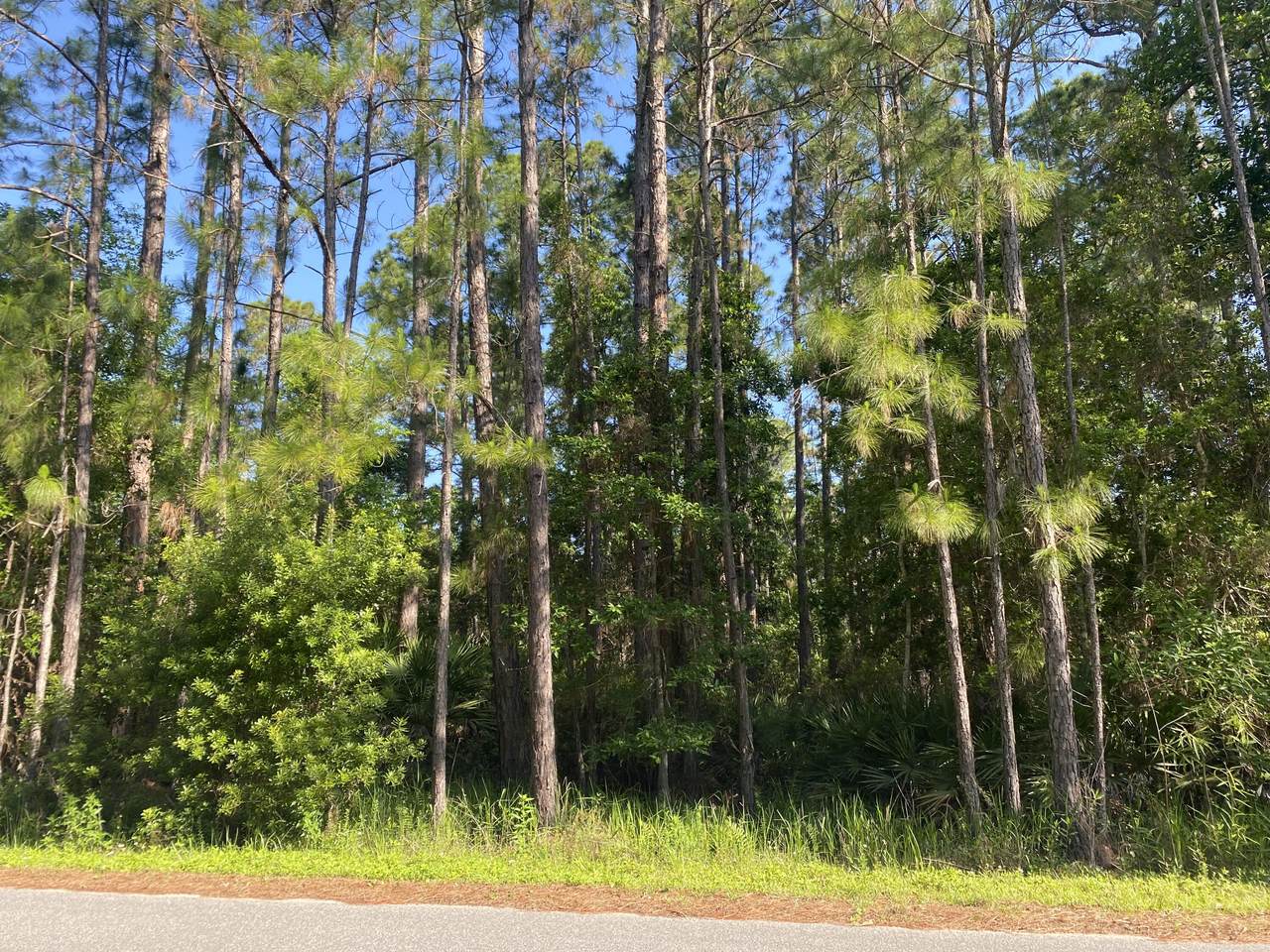 250 Lakeway Drive - Photo 1