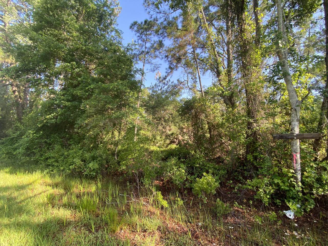 308 Rosewood Street - Photo 1