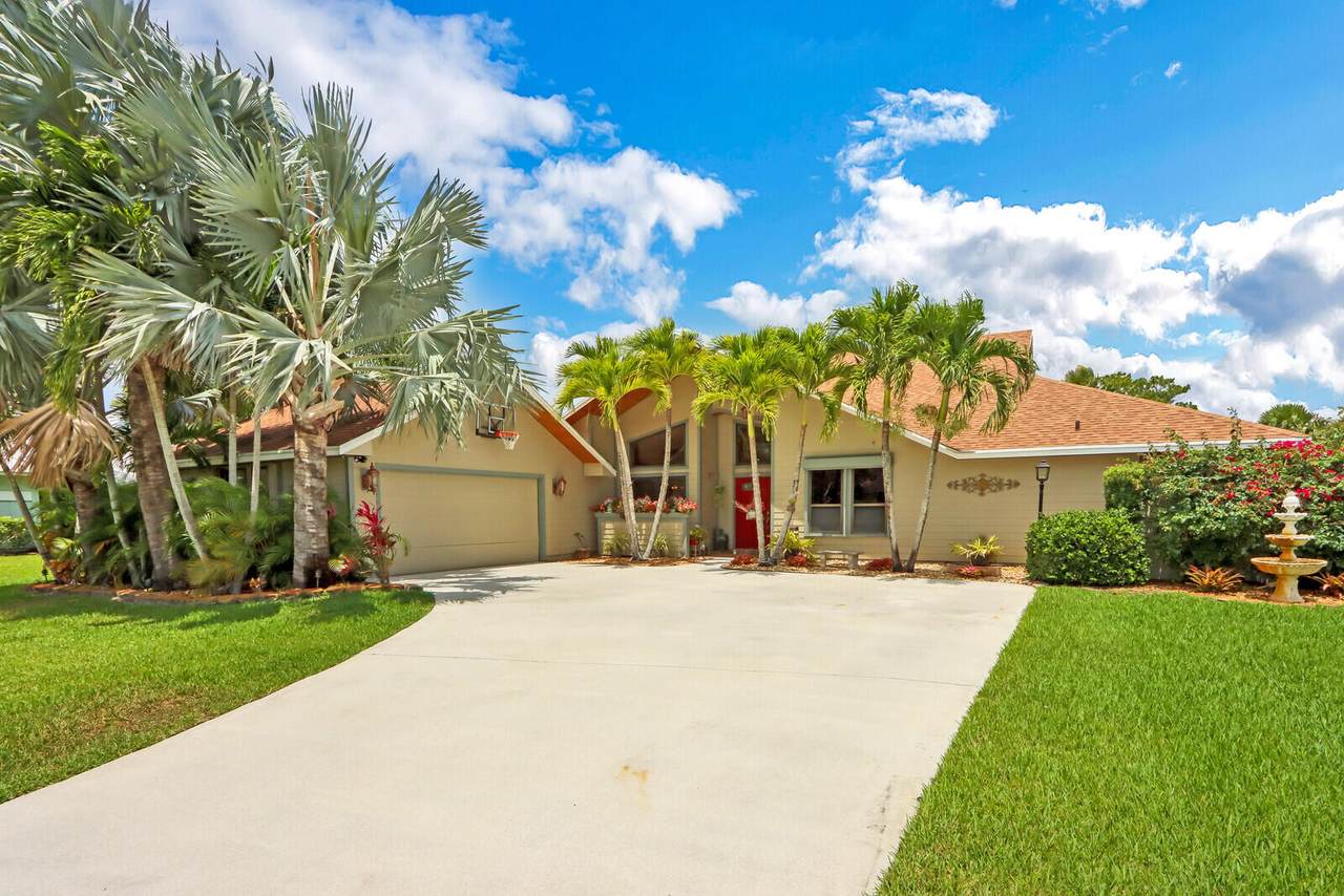 841 Catalina Street - Photo 1