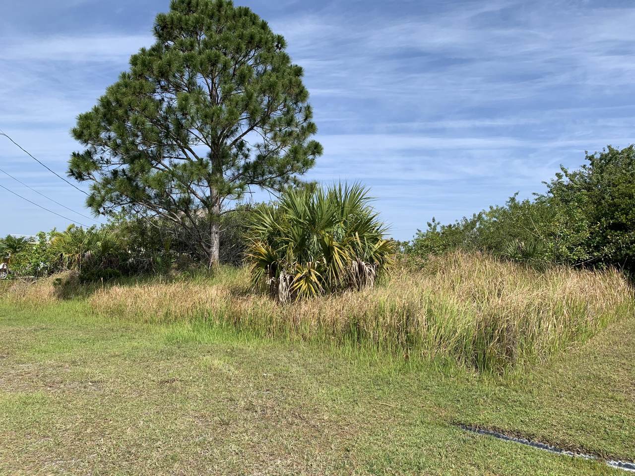 2701 Altamira Avenue - Photo 1