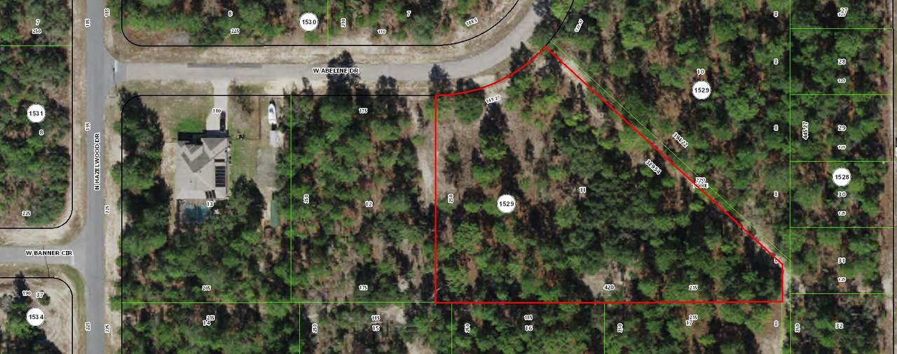 4021 Abeline Drive - Photo 1