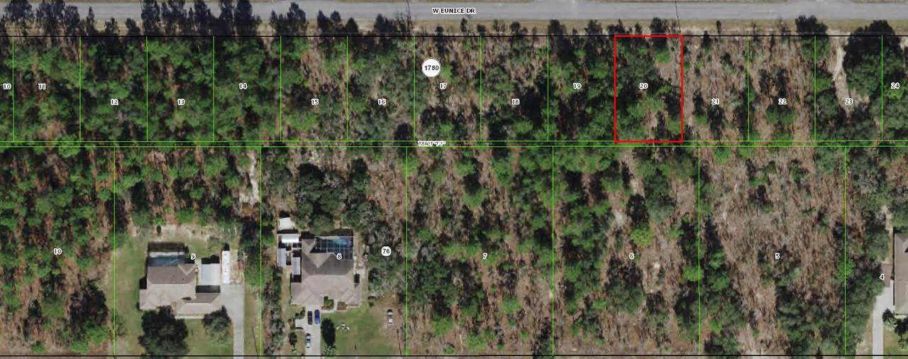 3622 Eunice Street - Photo 1