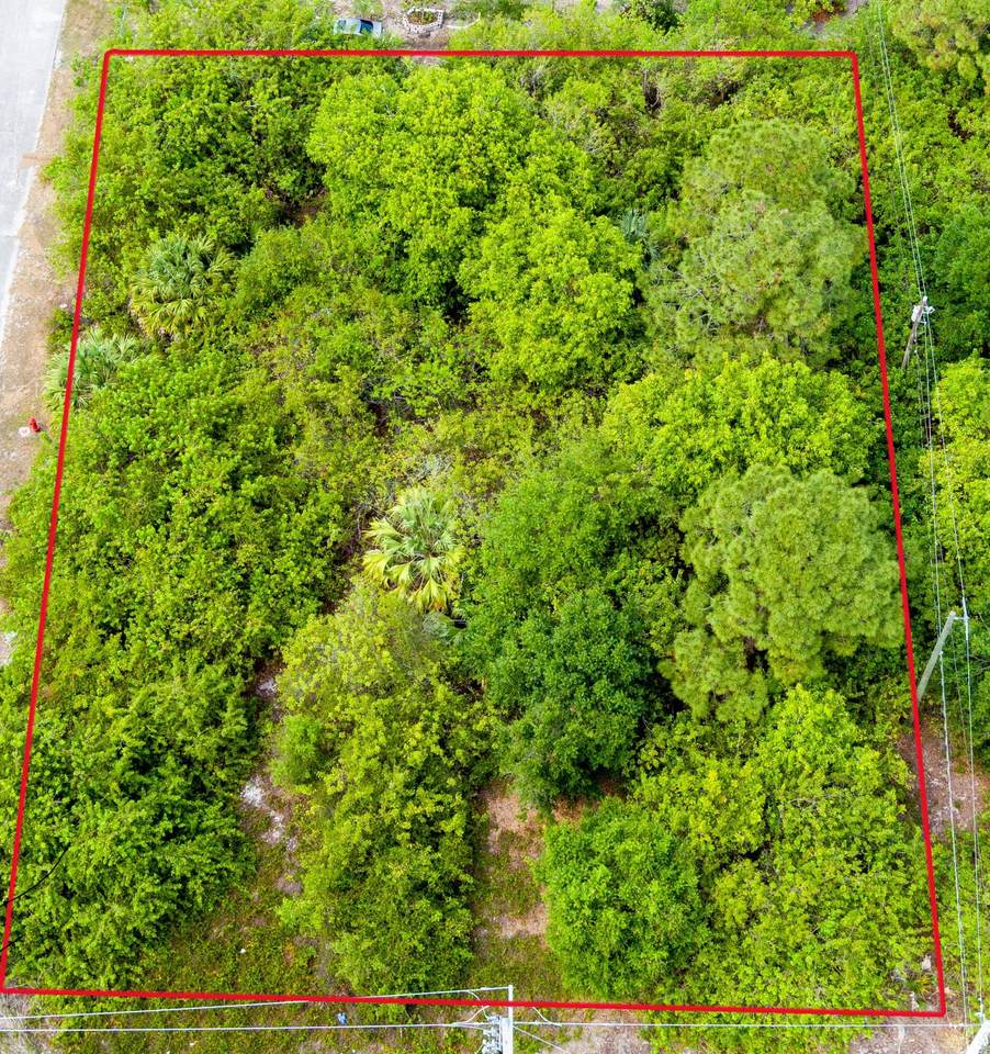 1115 Becker Road - Photo 1