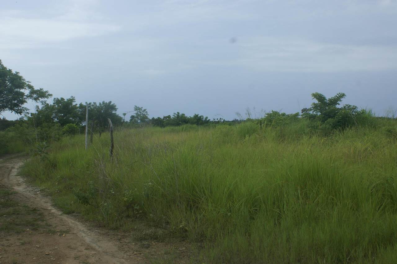 0000 Via Punta Barco - Photo 1