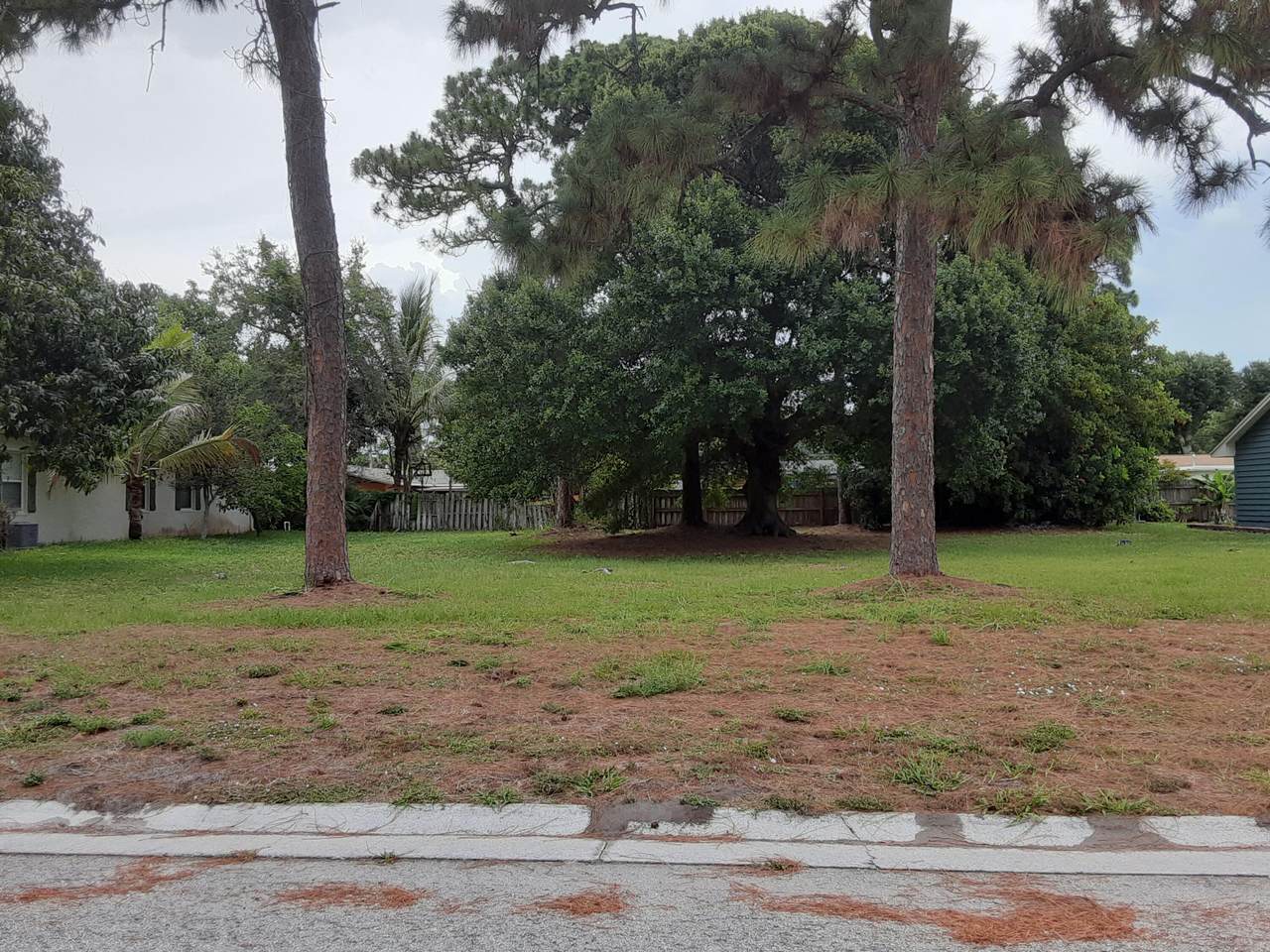 1506 Pine Hollow Drive - Photo 1