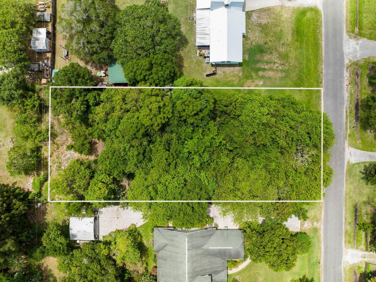 4608 Palmetto Drive - Photo 1