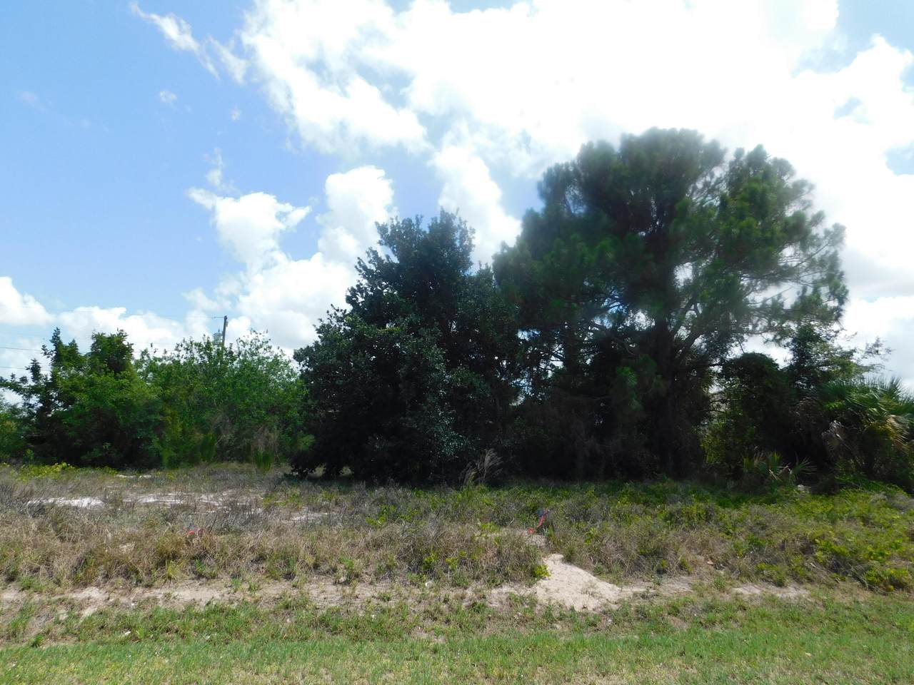 682 Tulip Boulevard - Photo 1
