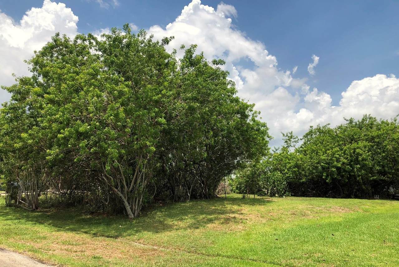 491 Fields Avenue - Photo 1