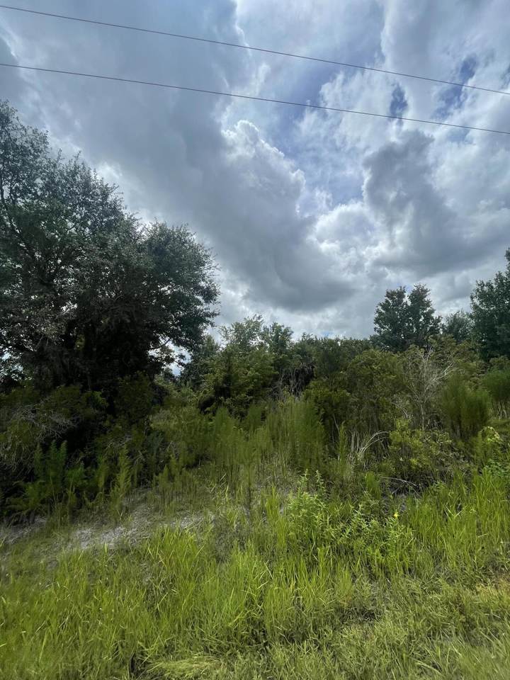 18821 290th Street - Photo 1
