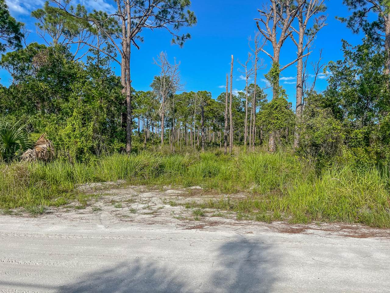 5102 Southwind Trail - Photo 1