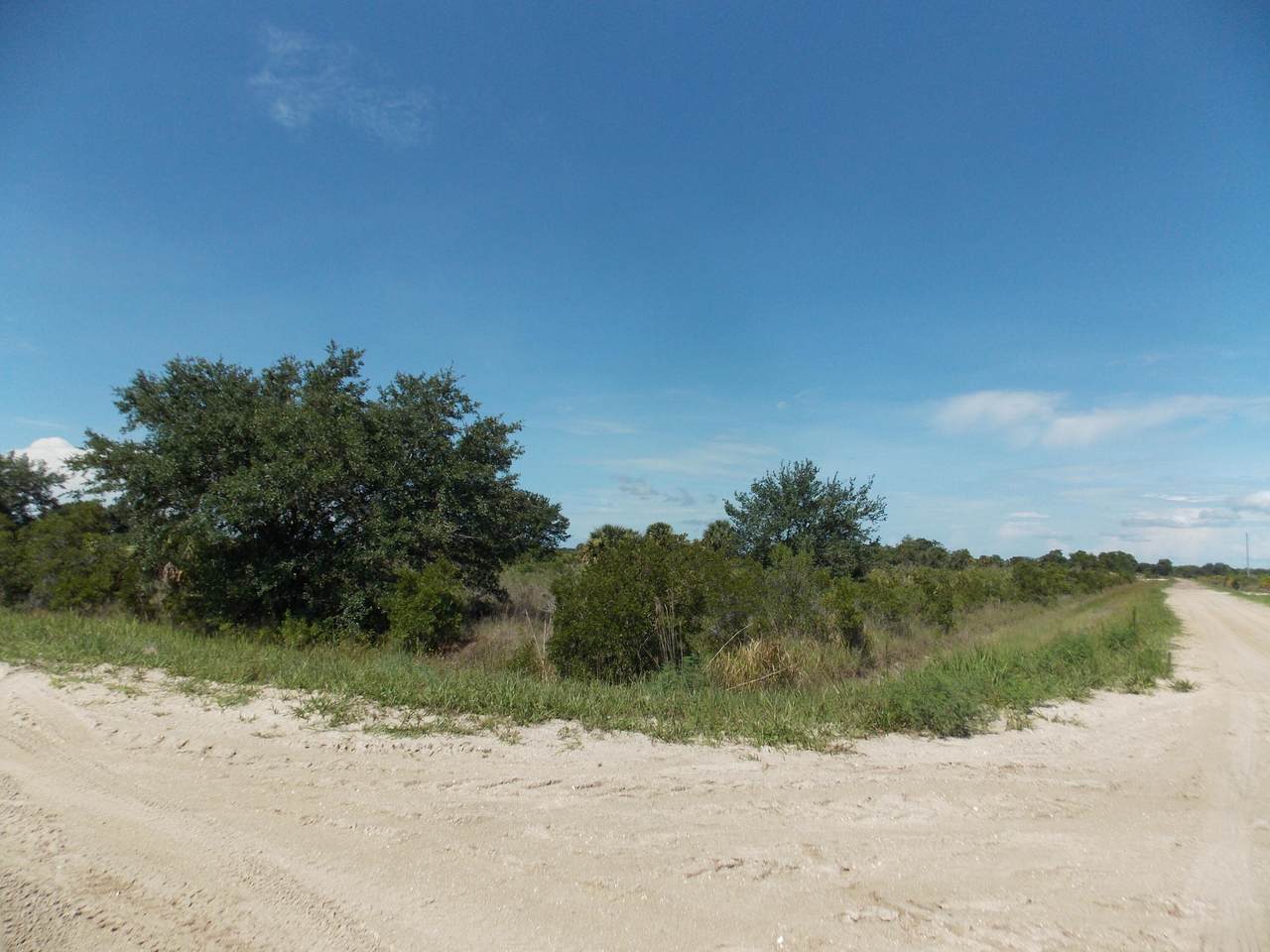 20008 242nd Street - Photo 1