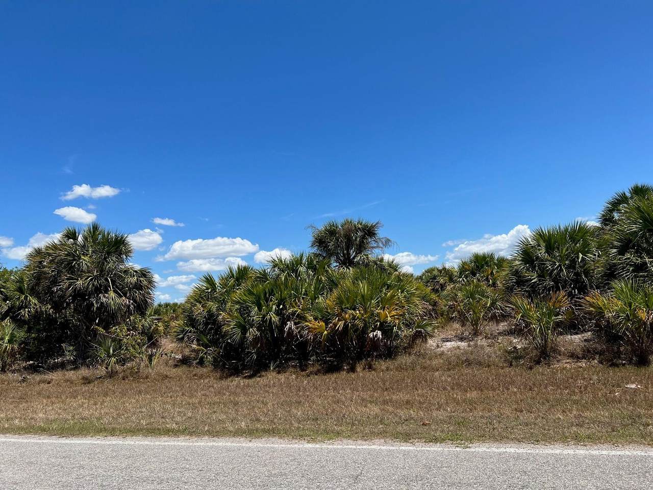 19057 Midway Boulevard - Photo 1