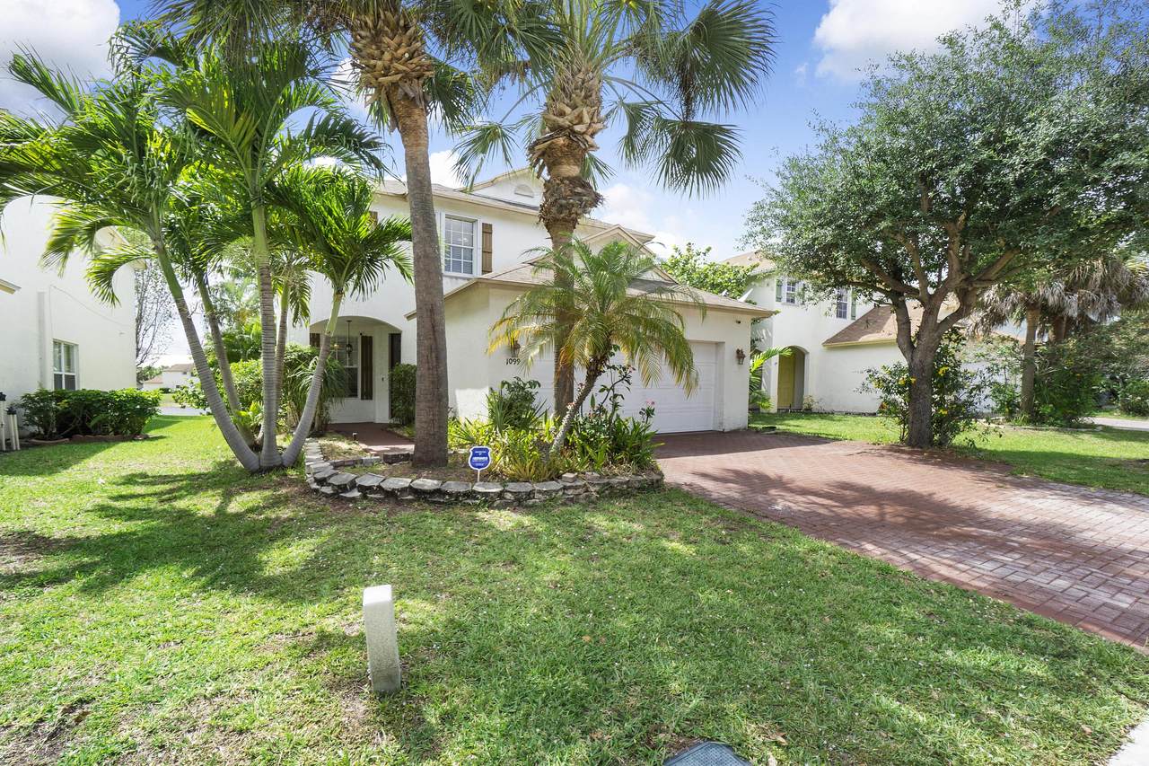 1099 Winding Rose Way - Photo 1