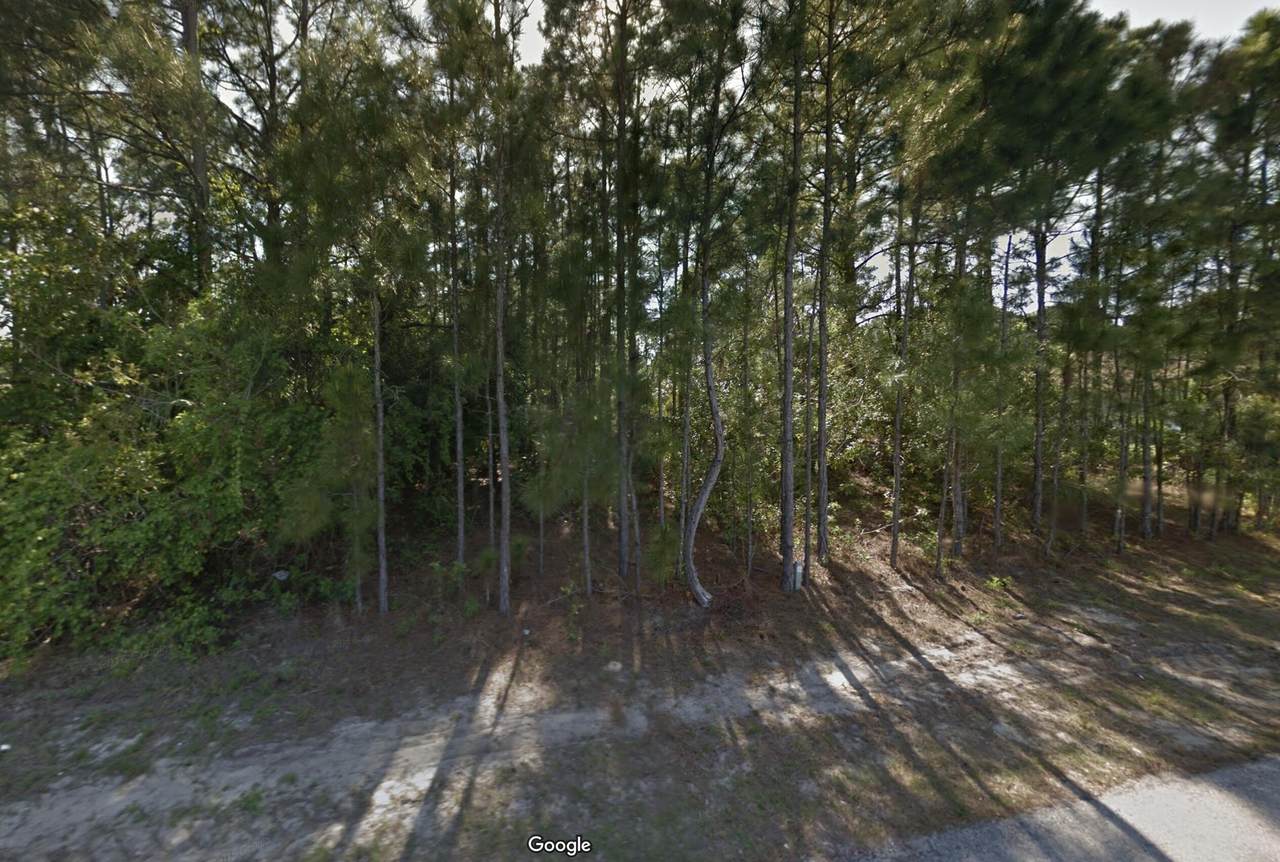 1538 Holcomb Street - Photo 1