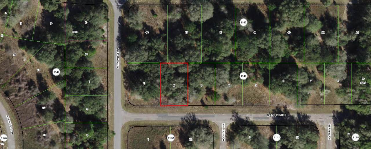 7997 Addison Road - Photo 1