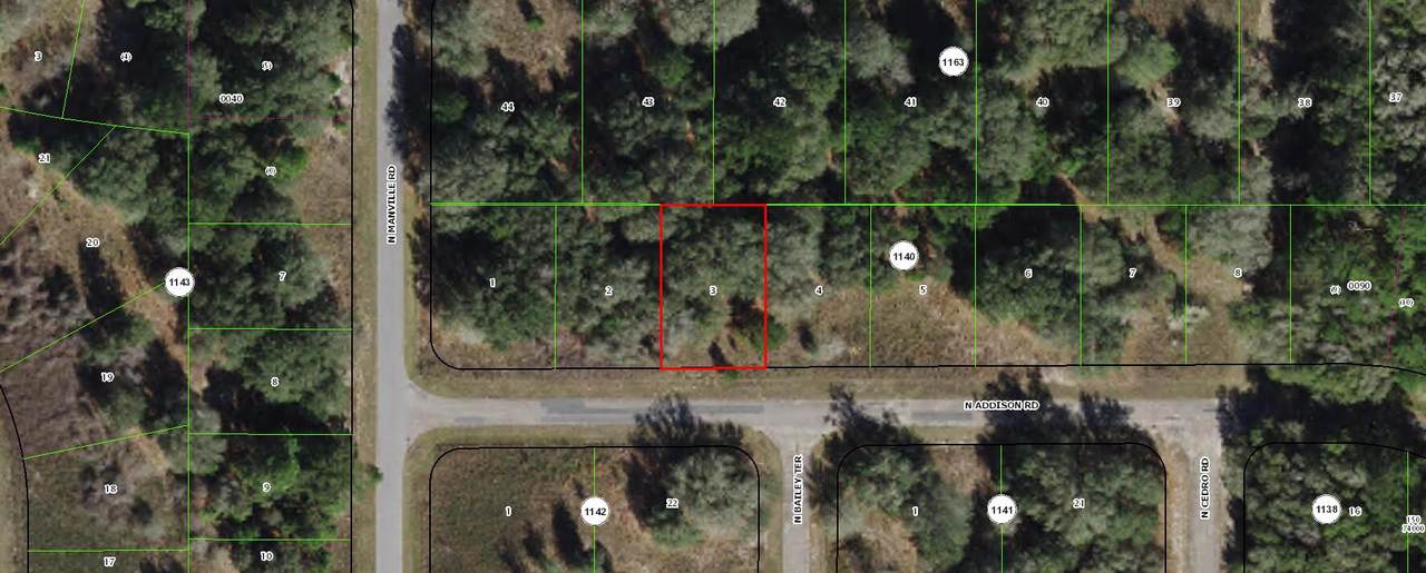 7993 Addison Road - Photo 1