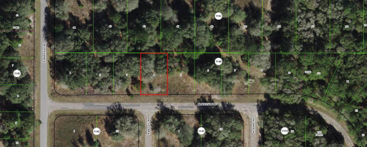7985 Addison Road - Photo 1