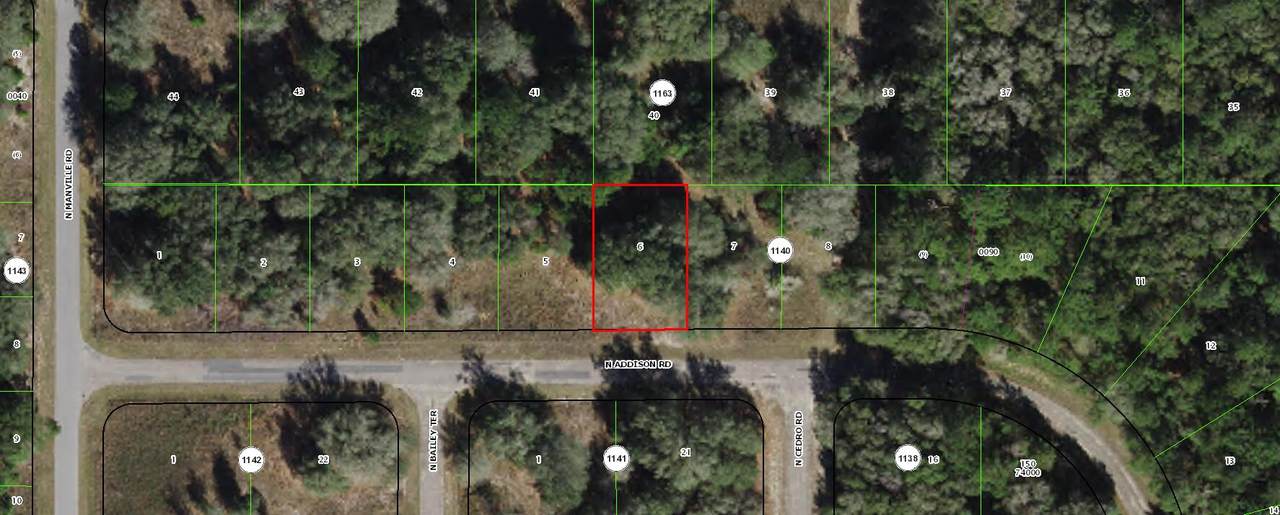 7977 Addison Road - Photo 1