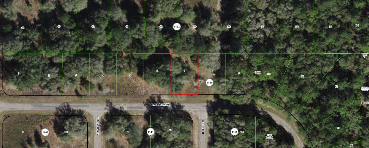7973 Addison Road - Photo 1