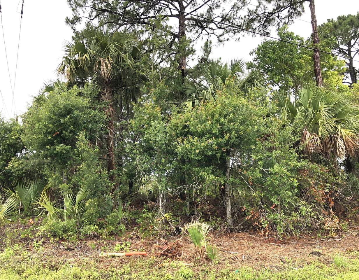 2102 Pamona Street - Photo 1