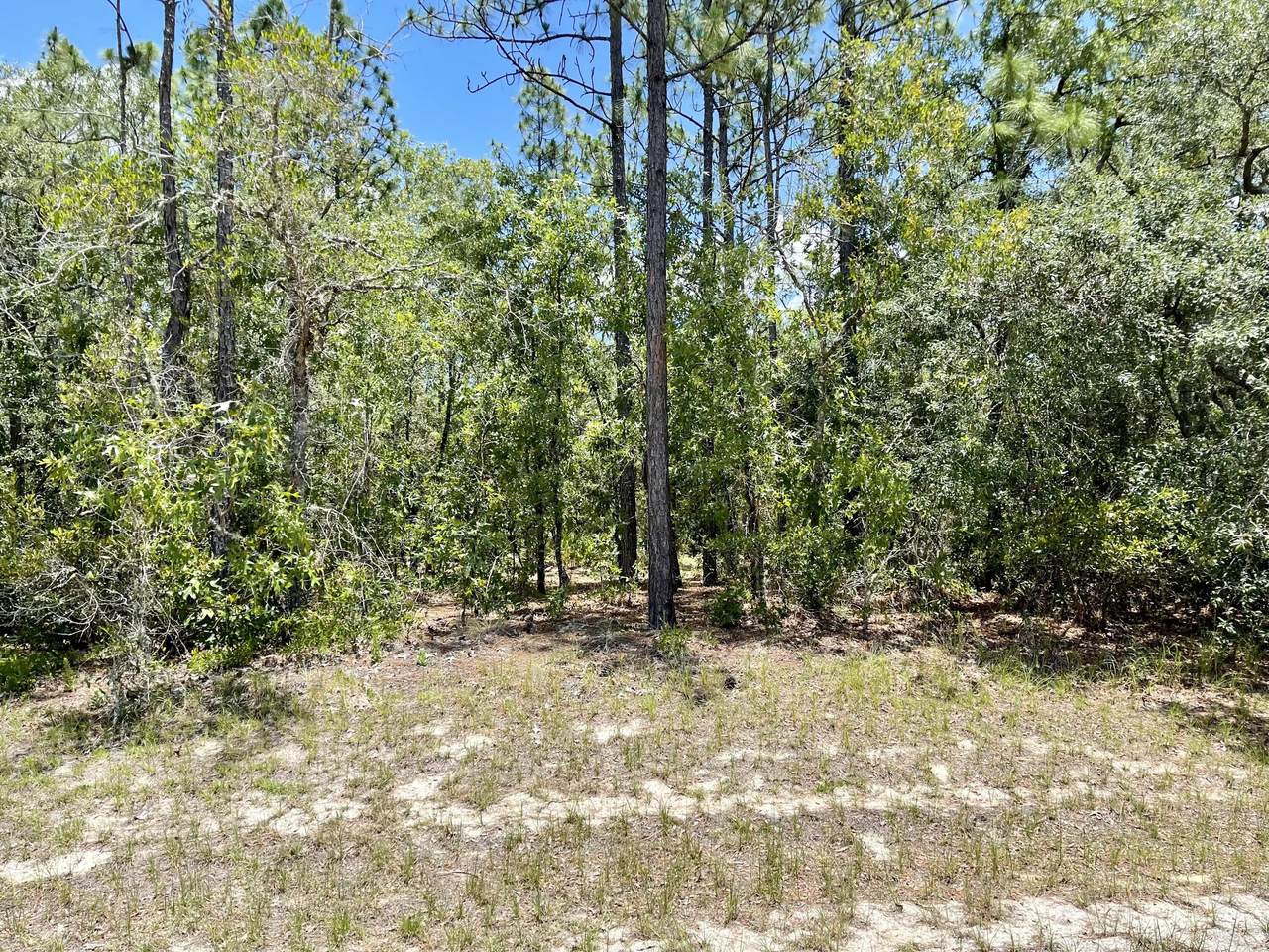 0 128th Loop - Photo 1