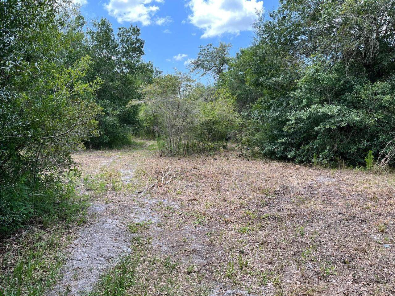 19131 288th Street - Photo 1