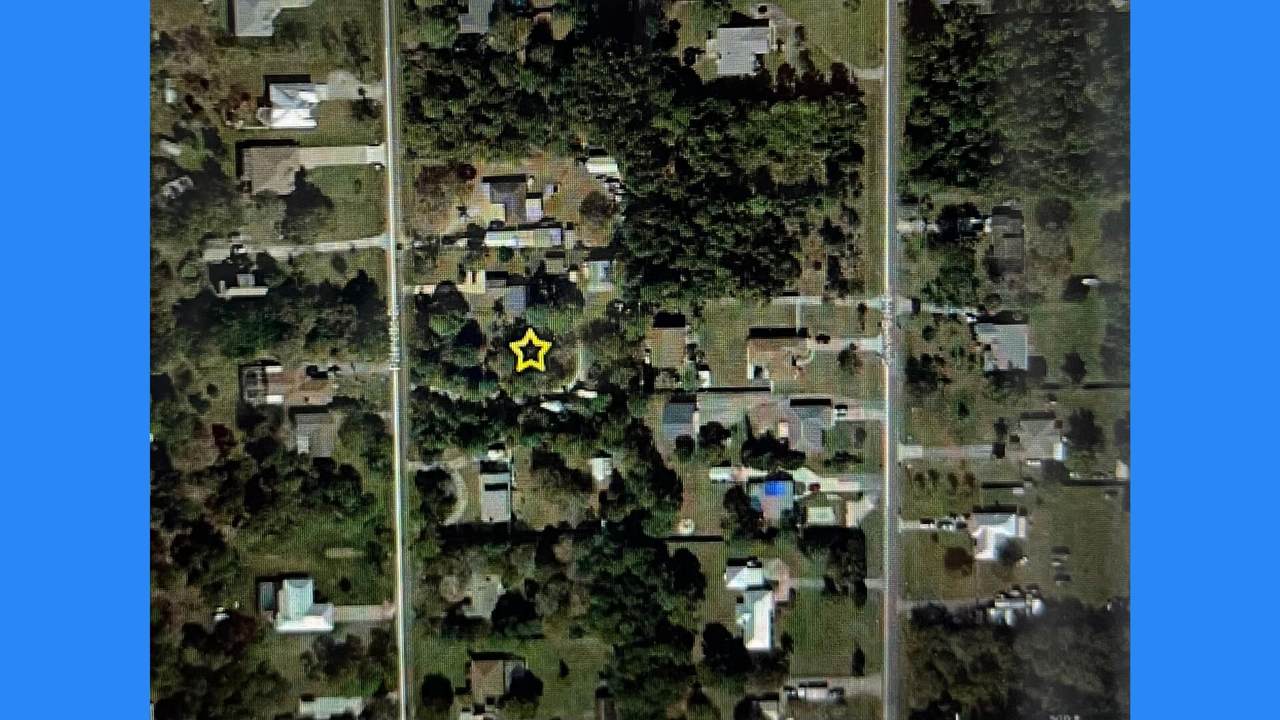 5204 Palmetto Drive - Photo 1
