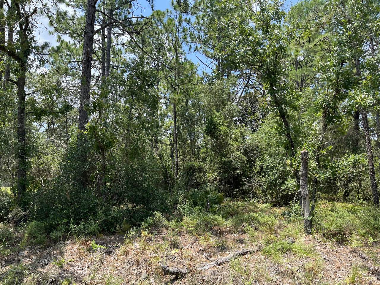 9105 Hawkweed Drive - Photo 1