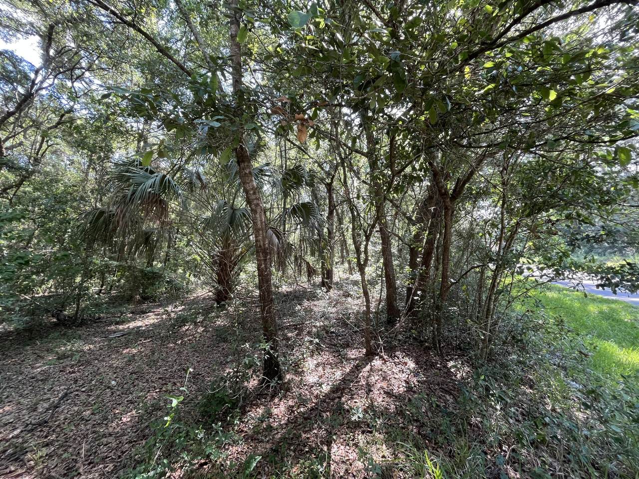 4058 Ryan Street - Photo 1