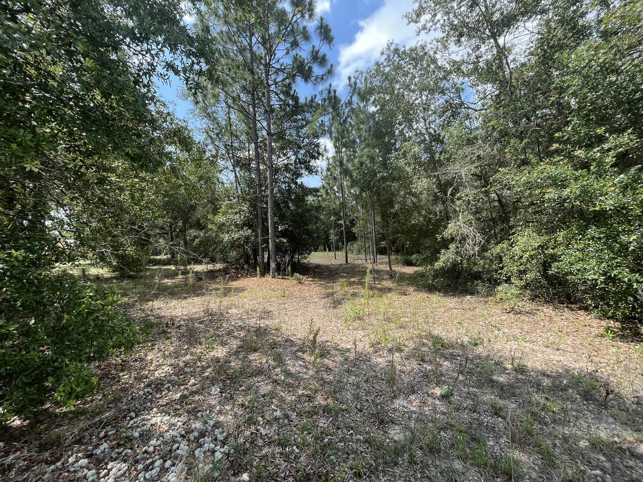 000 Tiger Lake Boulevard - Photo 1