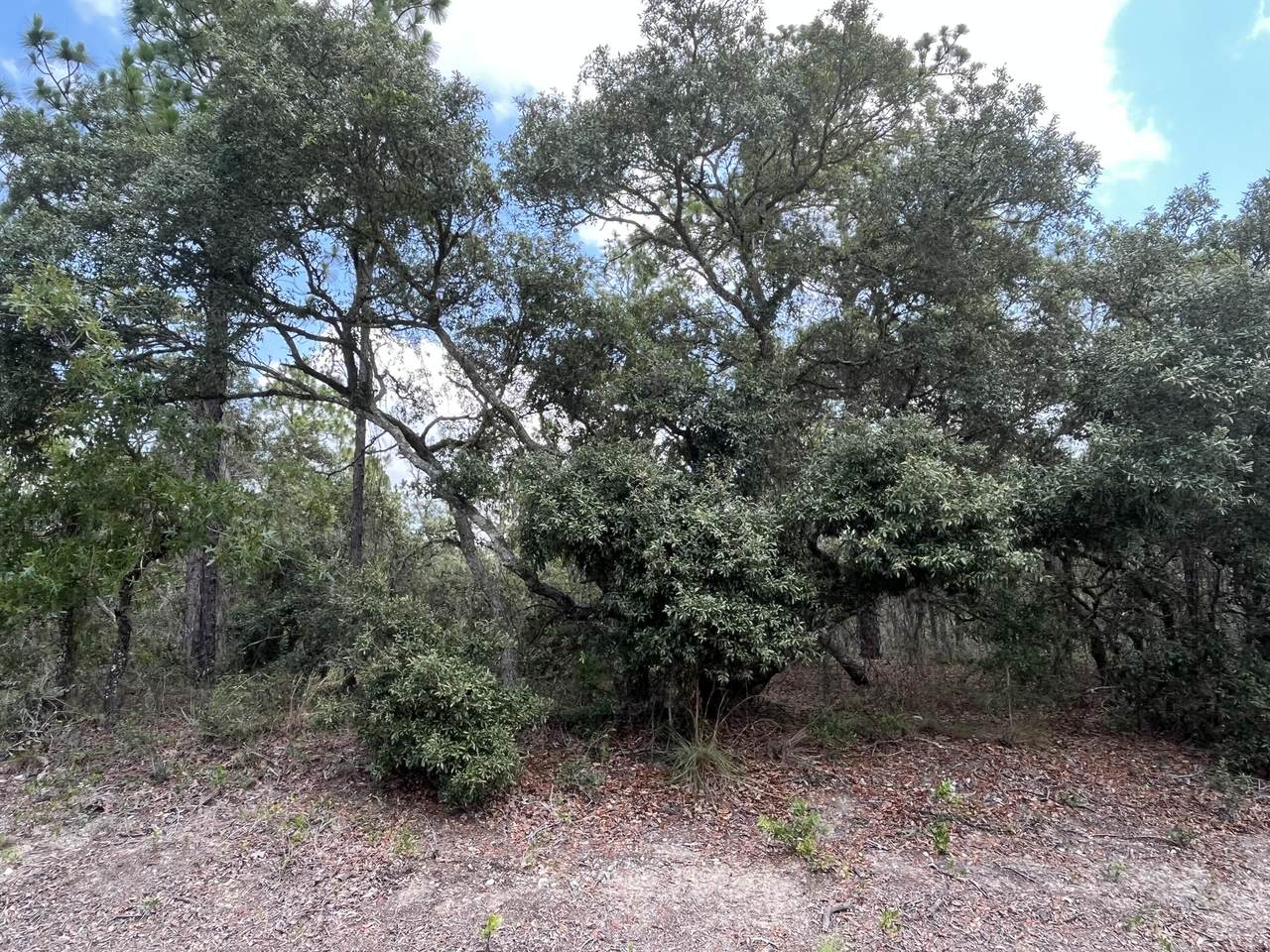000 Neptune Boulevard - Photo 1