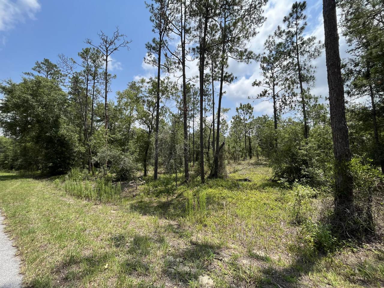 000 Wisteria Court - Photo 1
