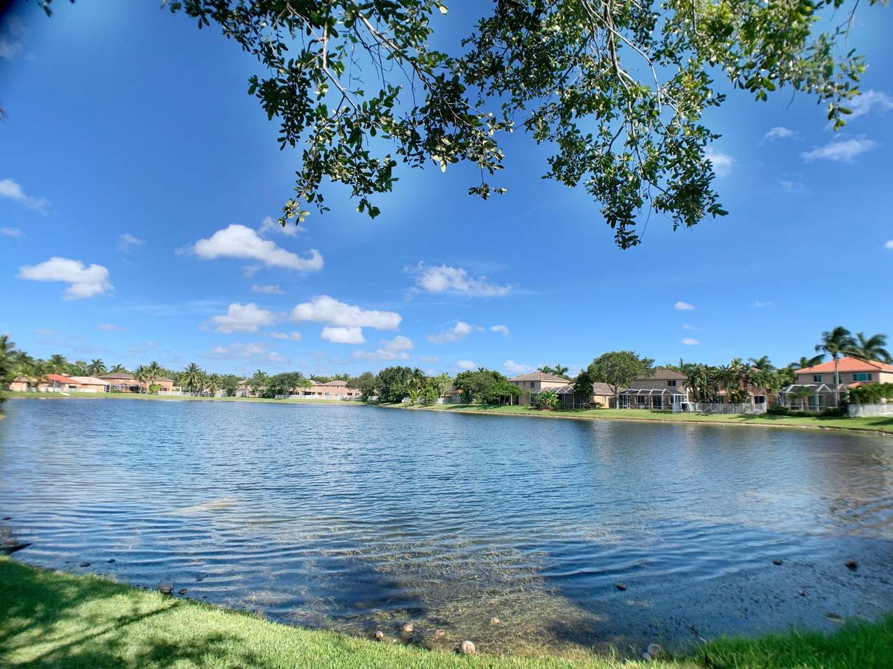 5152 Woodfield Way - Photo 1