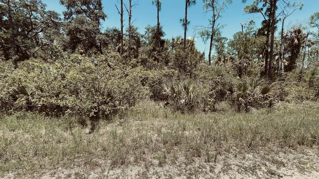 1920 Overland Avenue - Photo 1