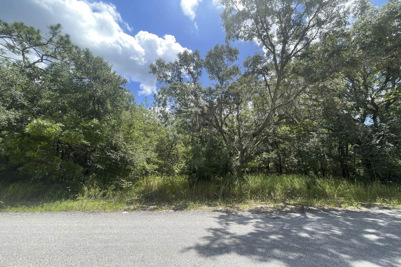 09 Silver Springs Shores - Photo 1