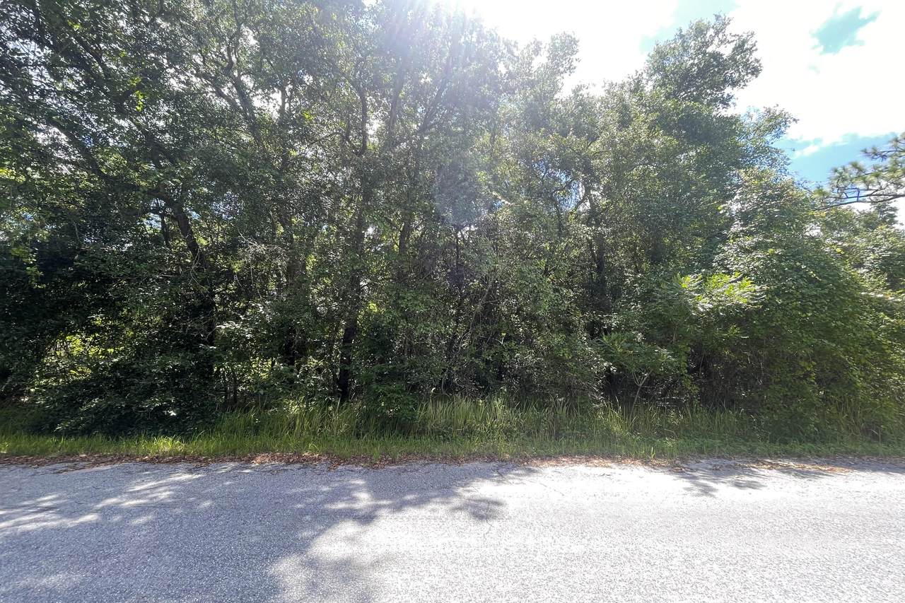 08 Silver Springs Shores - Photo 1