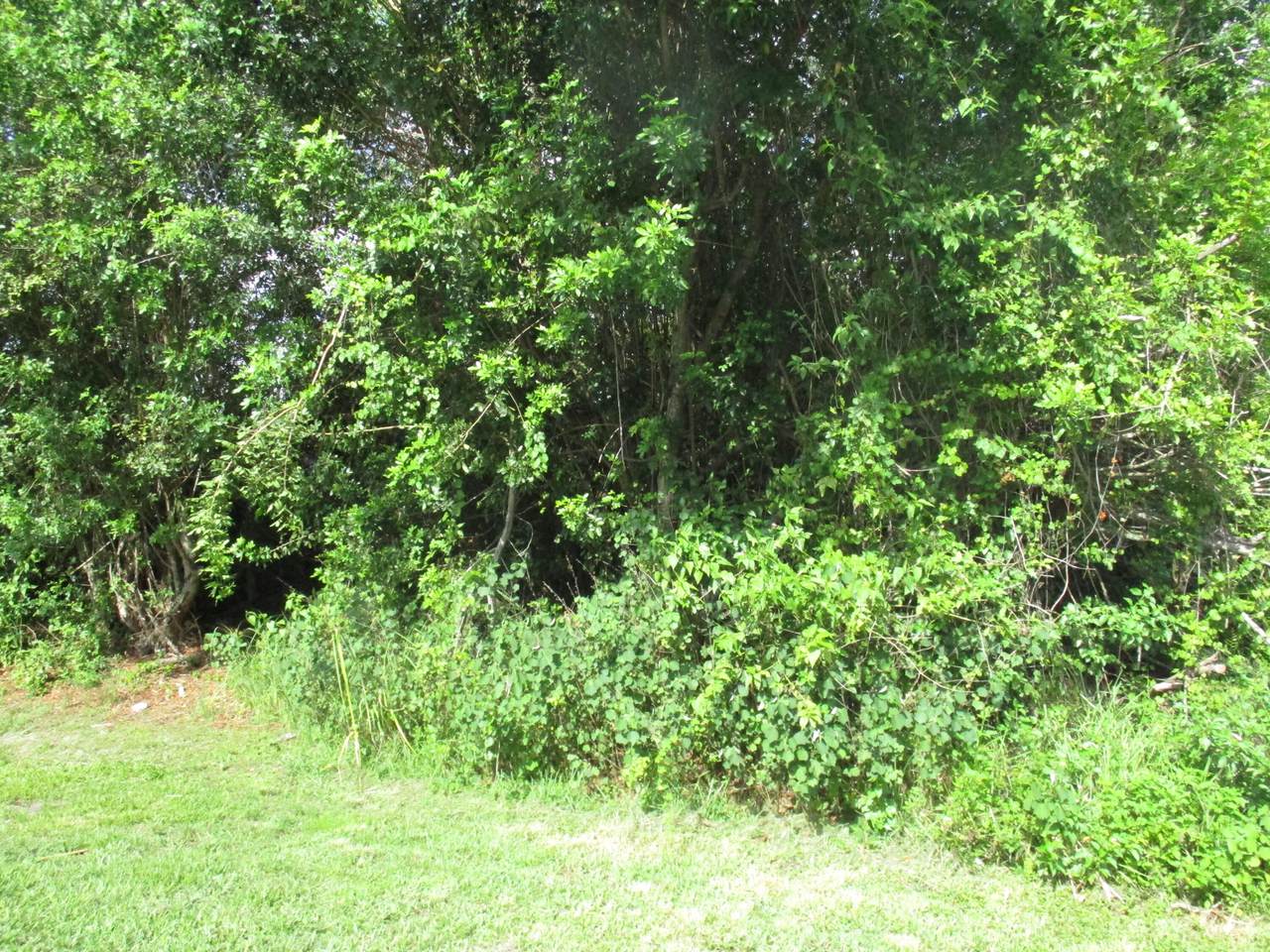 3512 Dellamano Street - Photo 1