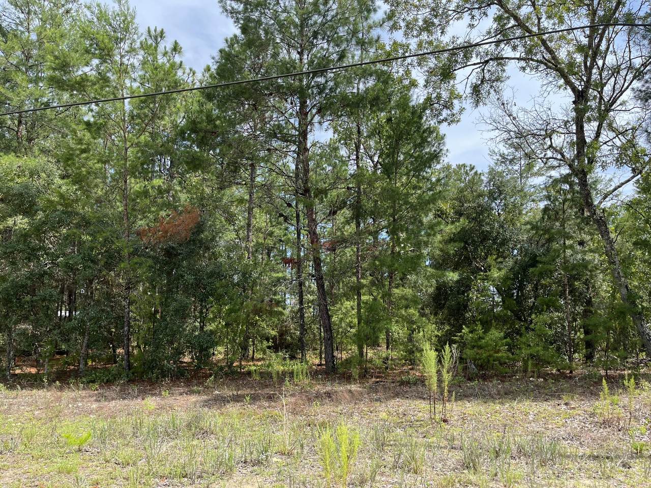 5847 Hillridge Road - Photo 1