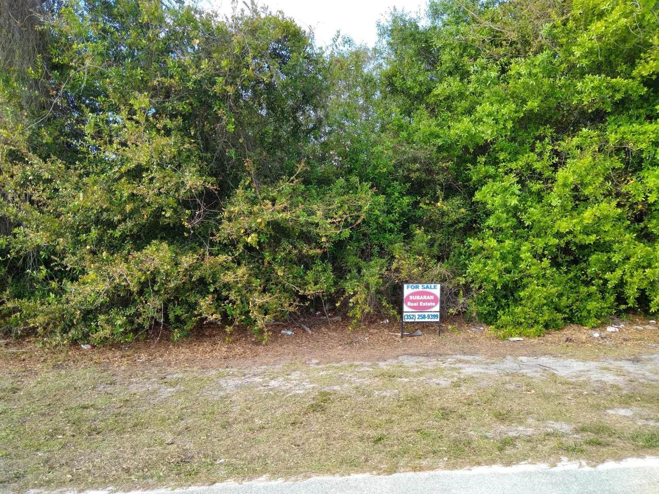 4252 Darien Street - Photo 1