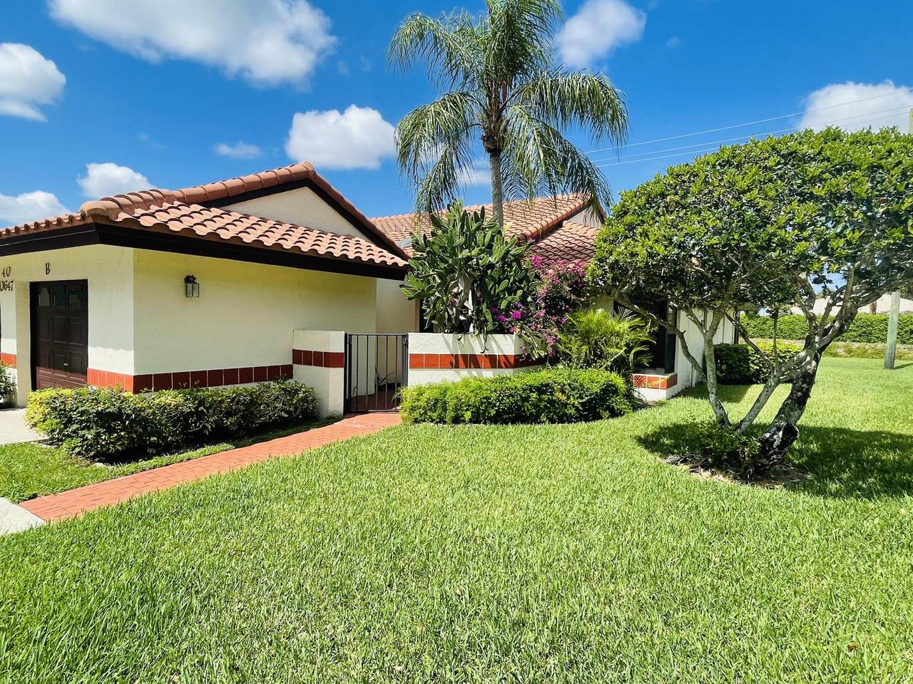 10647 Palm Leaf Drive - Photo 1