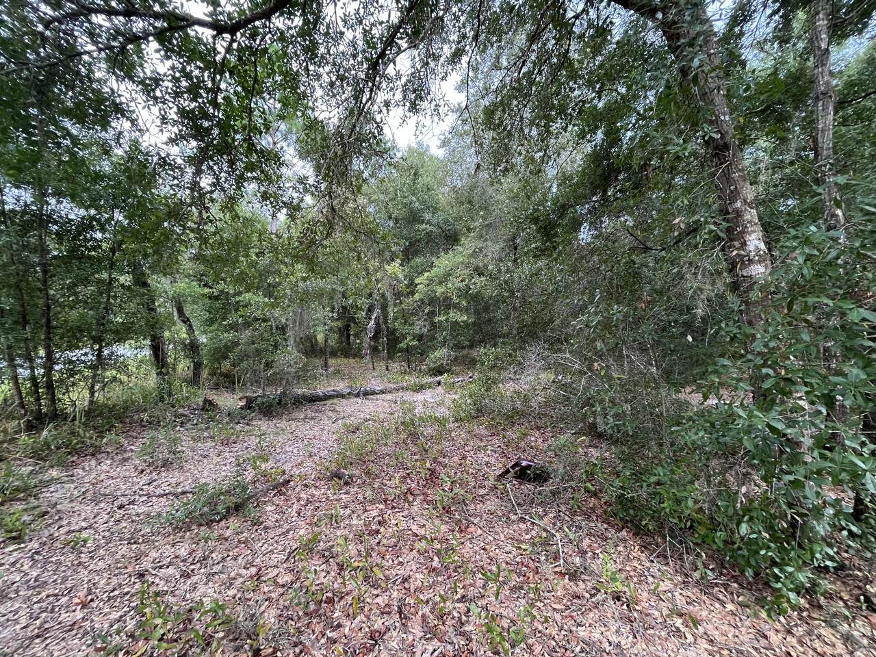 Tbd Oak Lane - Photo 1