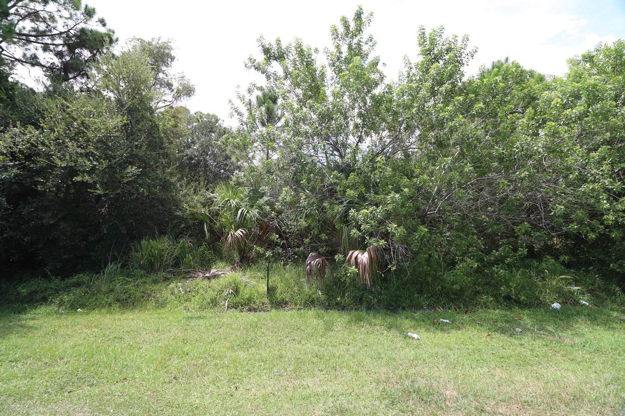 2192 Holland Street - Photo 1