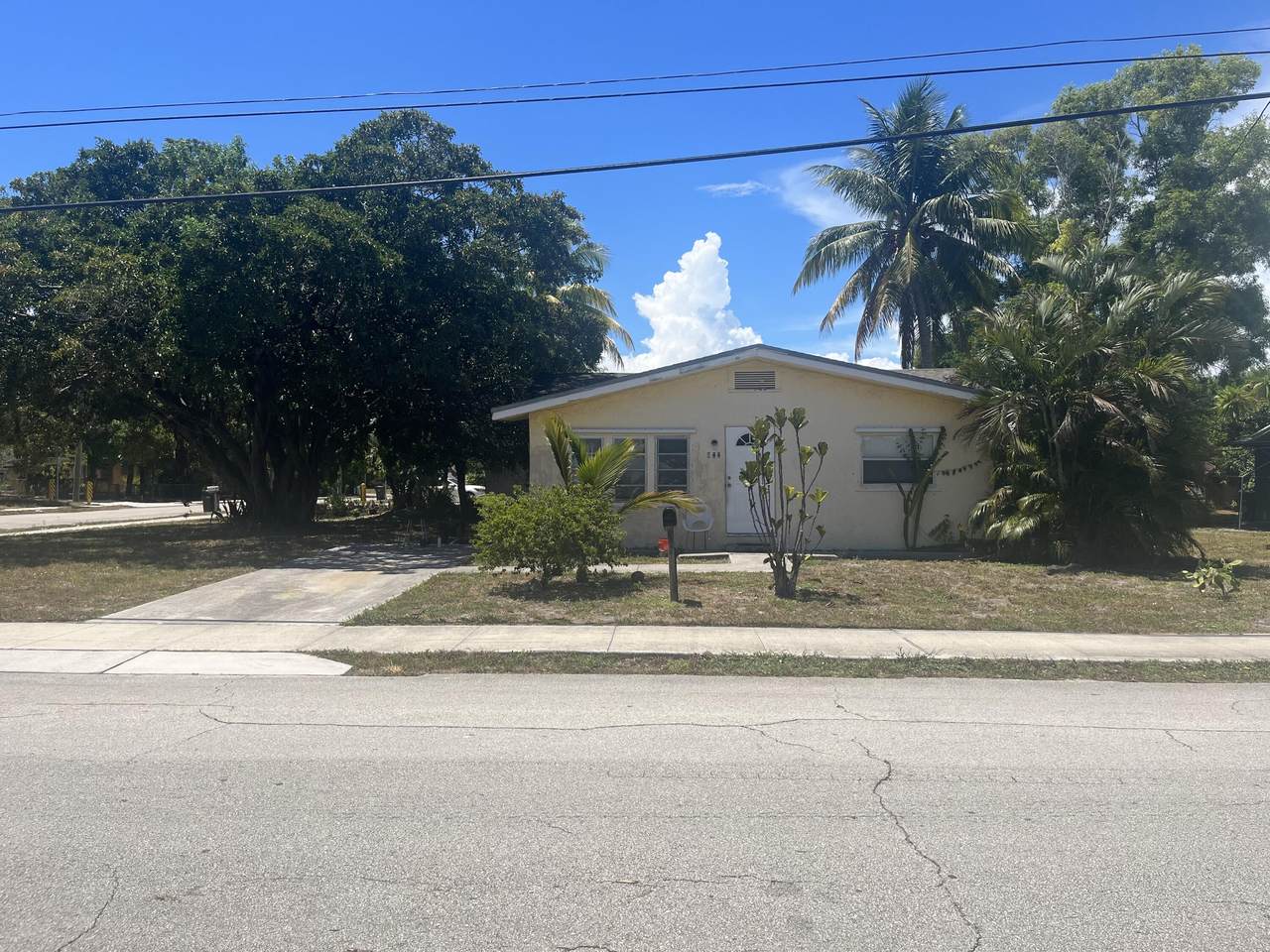 244 5th Avenue - Photo 1