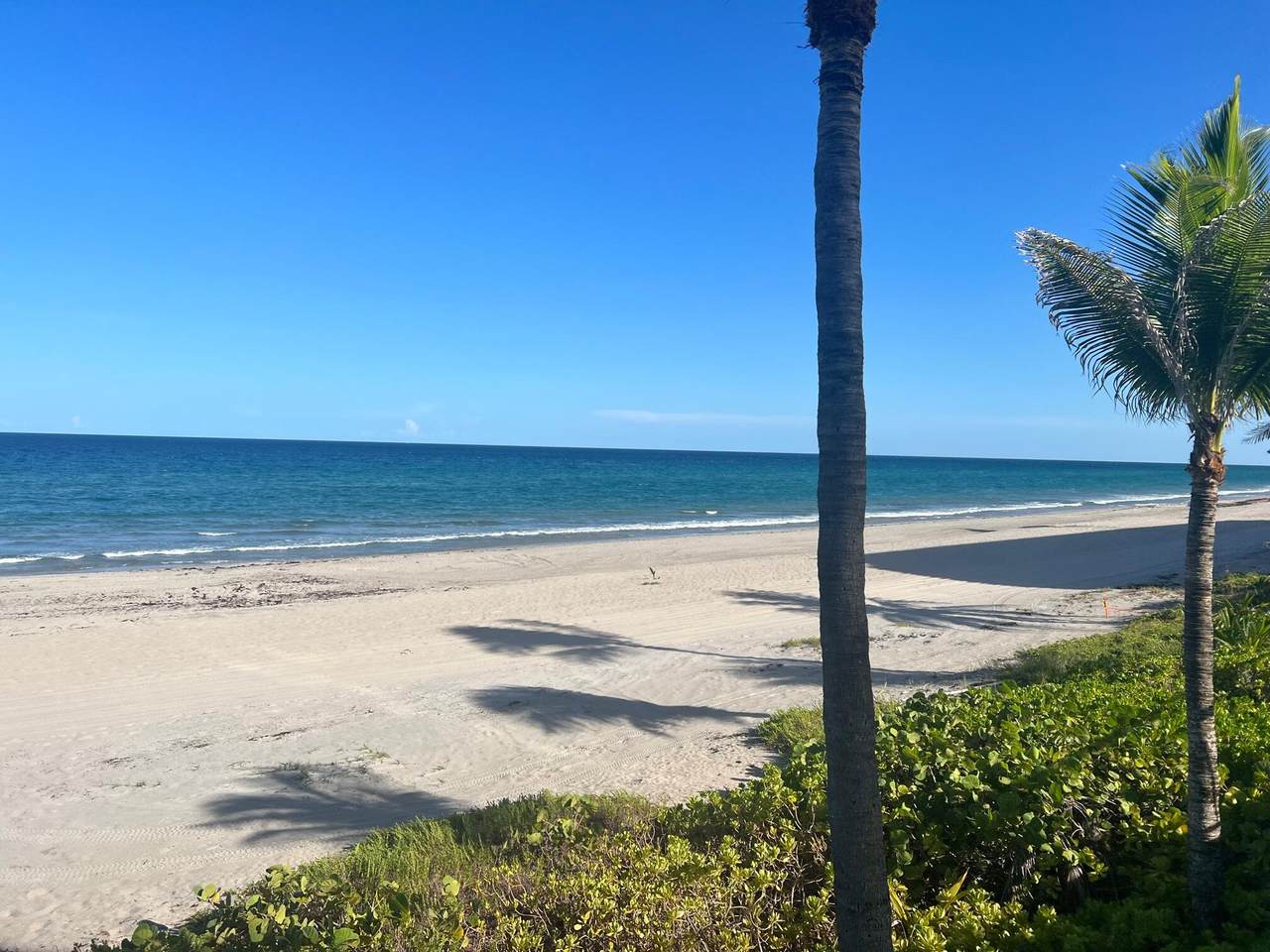 2066 Ocean Boulevard - Photo 1