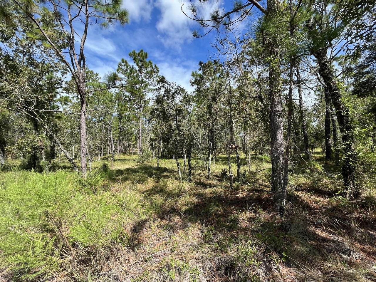 Tbd Amberjack Avenue - Photo 1