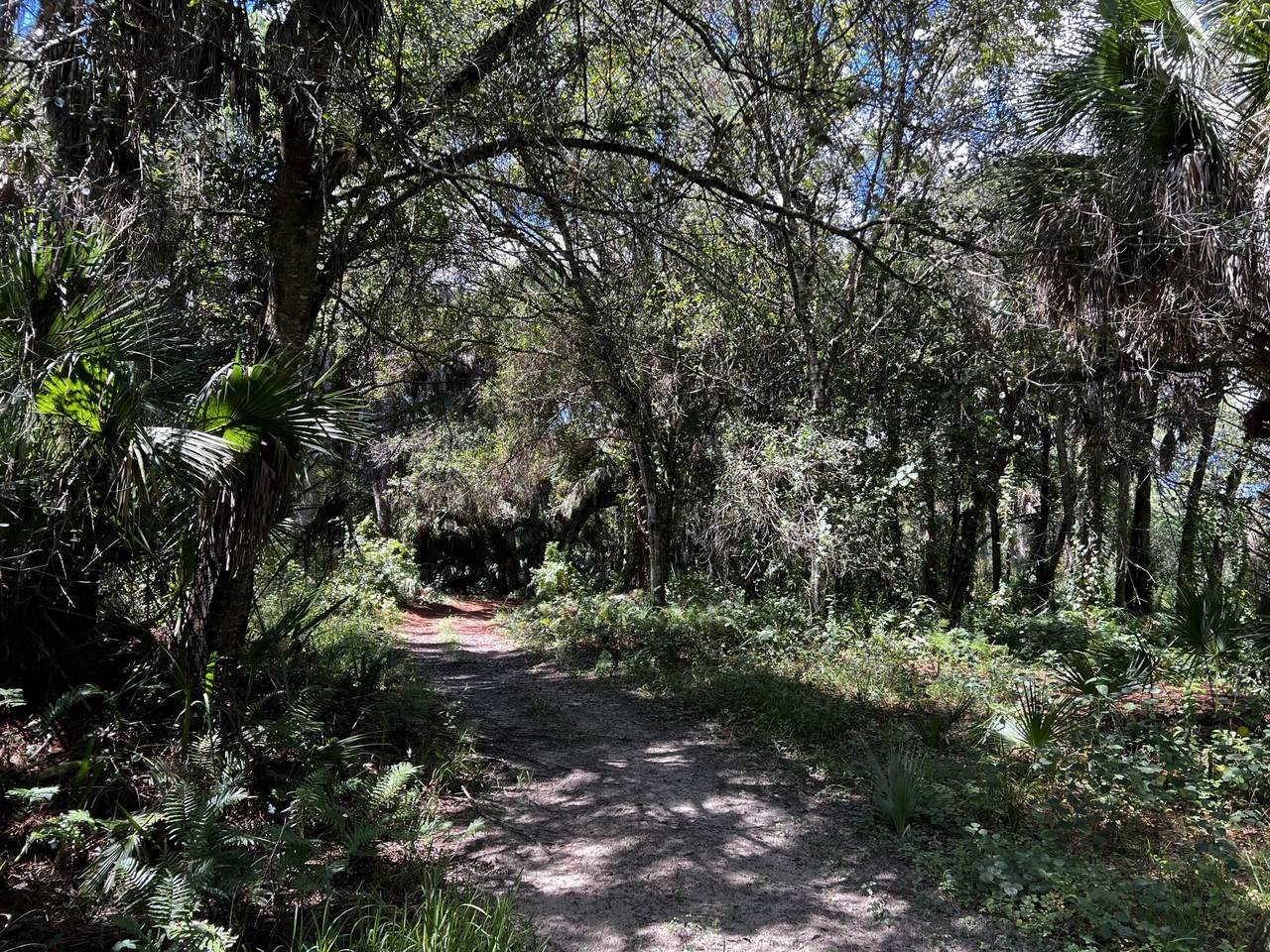 2865 Hwy 98 - Photo 1