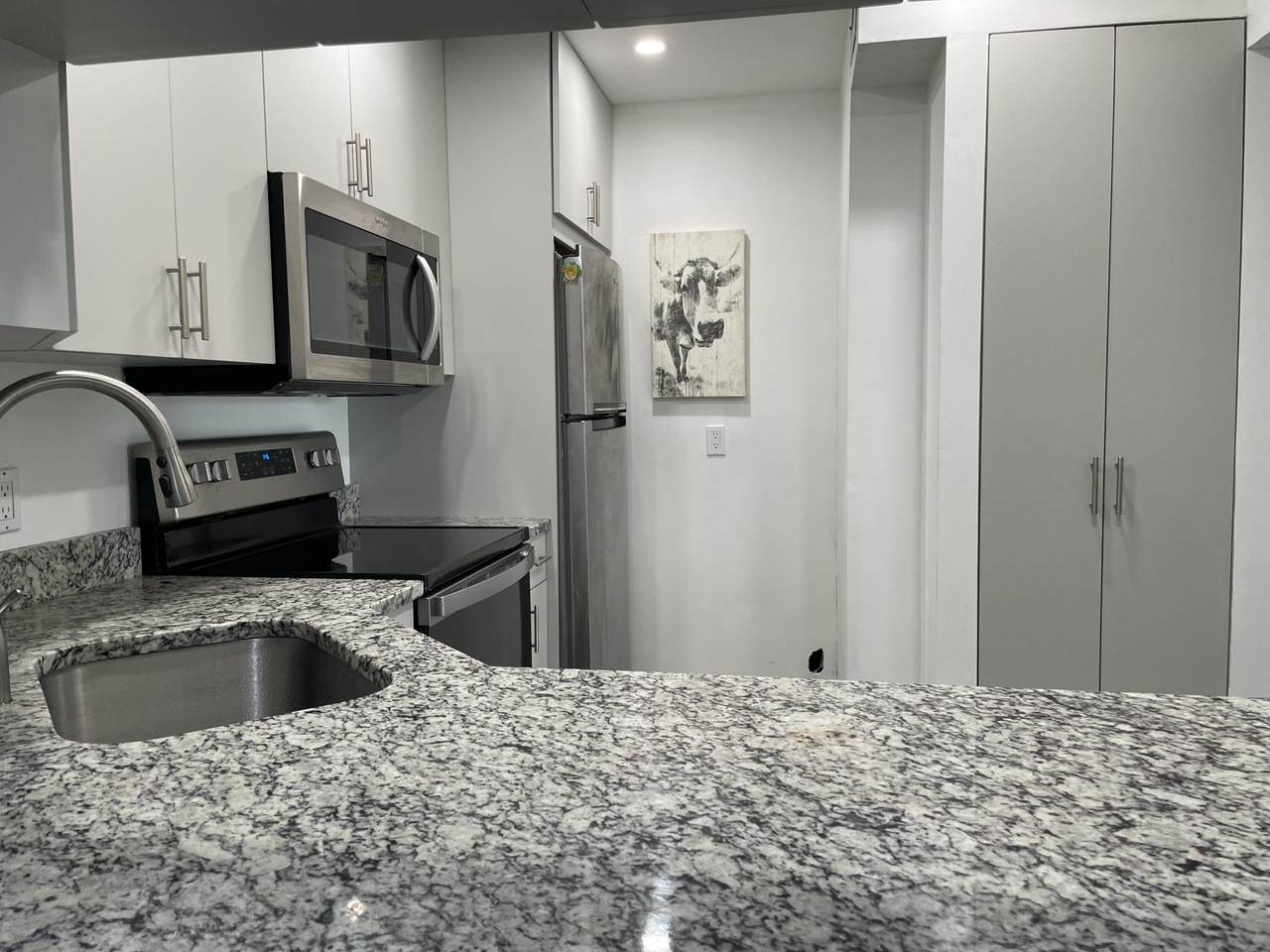 1106 Green Pine - Photo 1